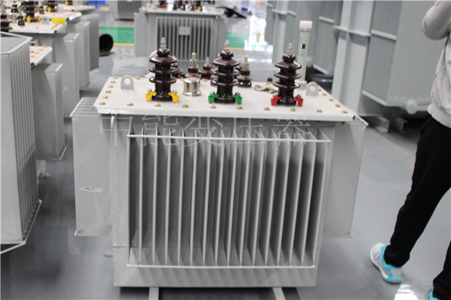 麻章S20-1000KVA油浸式变压器